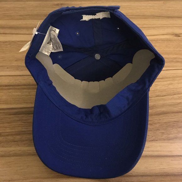 2008 Youth Size Blue Disney Disneyland Resort Hat Mickey Donald Goofy Pluto. - Picture 5 of 5